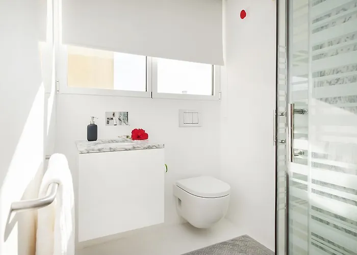 Belem With Terrace Apartment